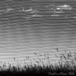Mares’ Tails